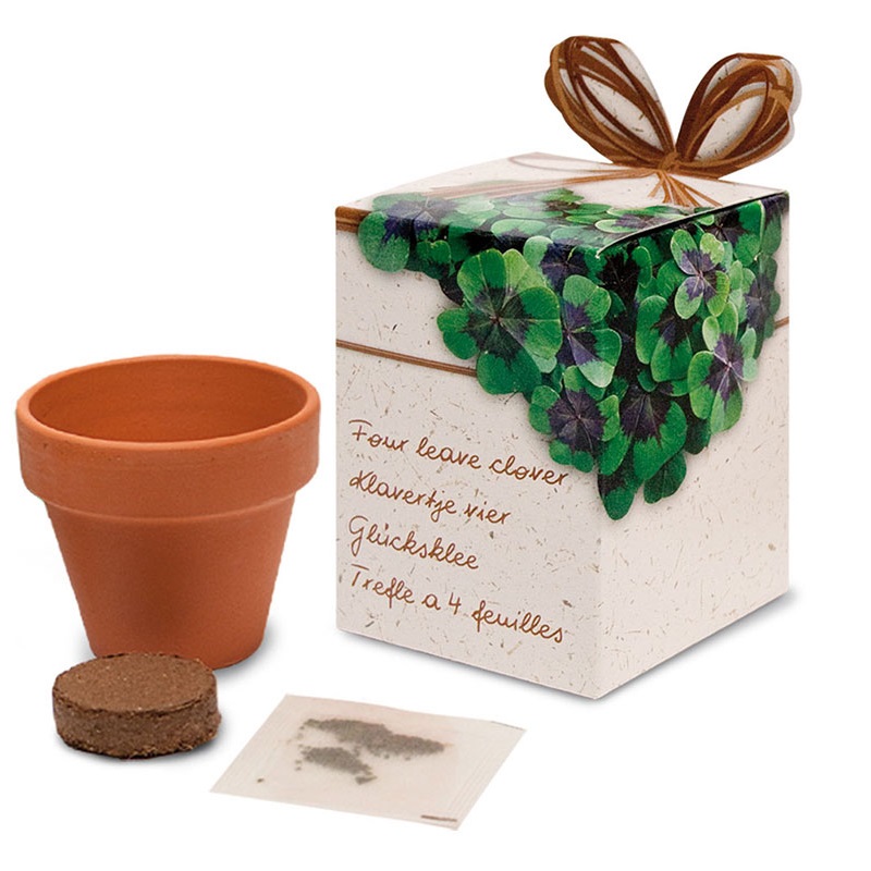 Petit pot avec graines dans une boîte - image 3